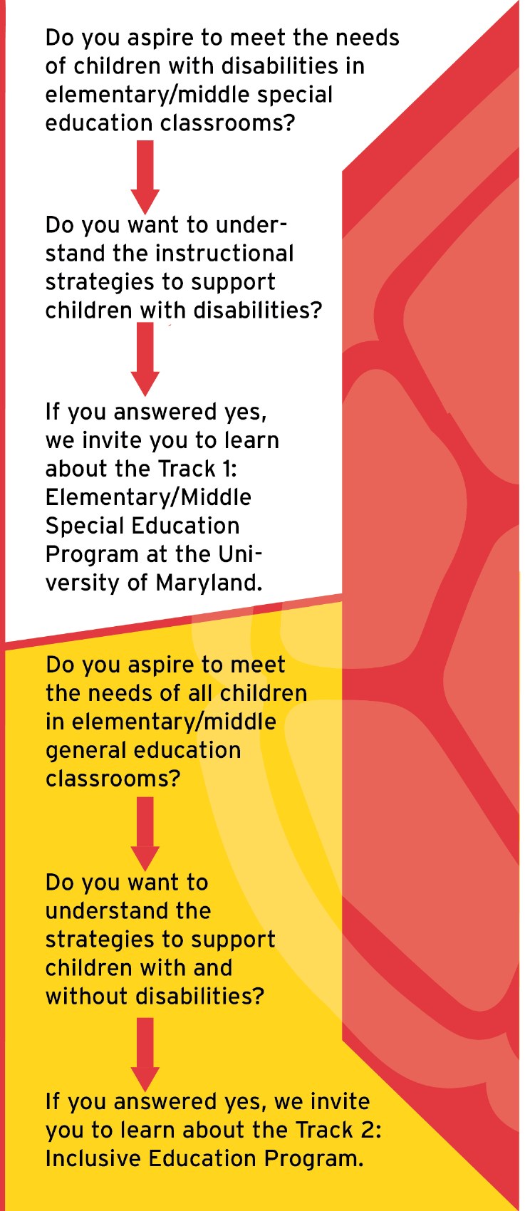 Brochure panel asking two qualifying questions, each with a red arrow leading to a recommended certification track