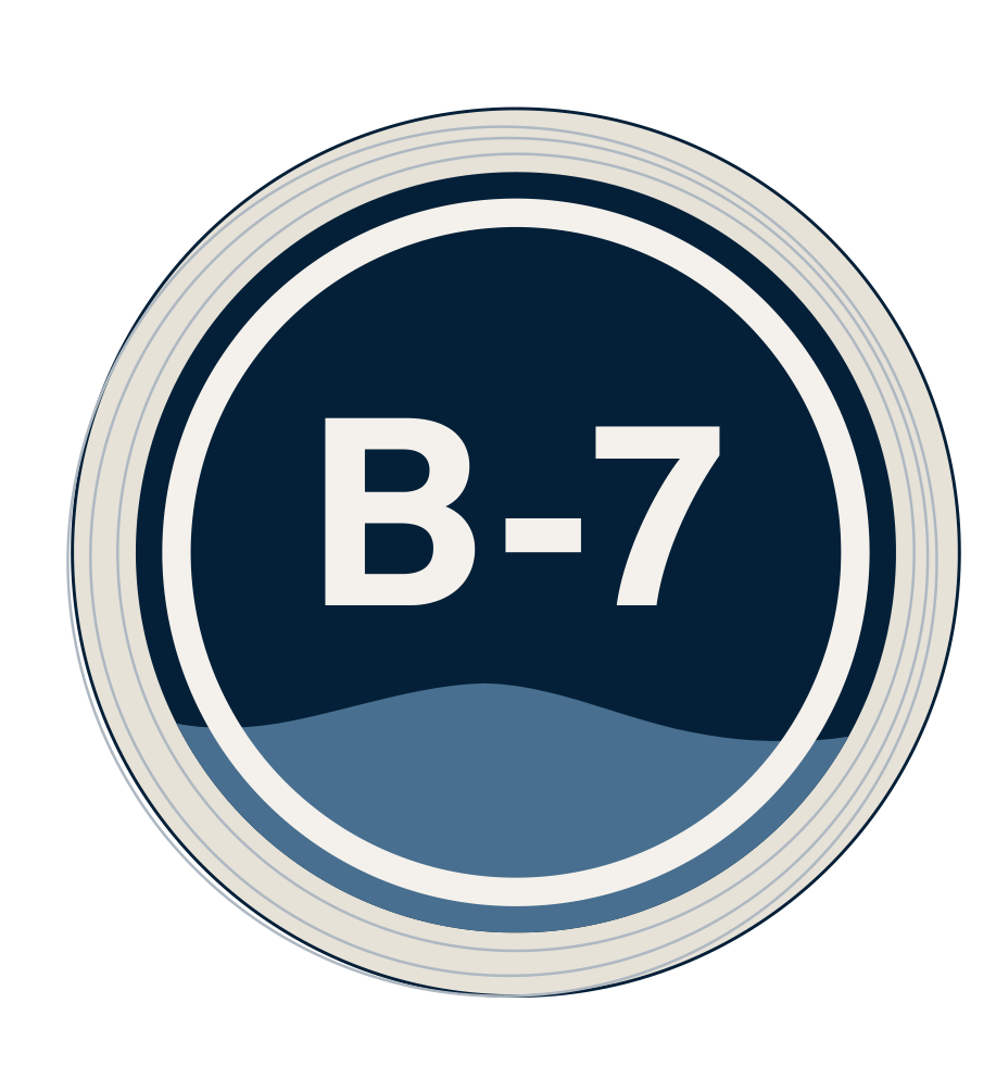 S.2 slip marker disc, B-7.